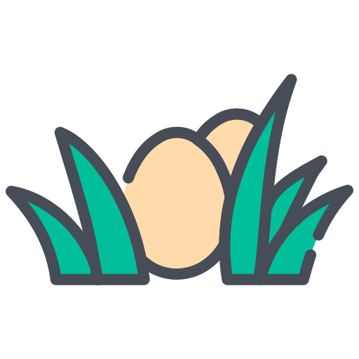 Netyum Yumurta